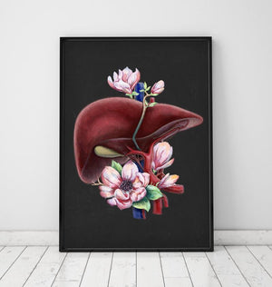 Floral liver anatomy art print