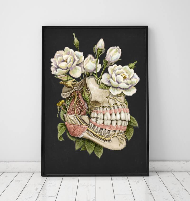 Floral dental anatomy art print