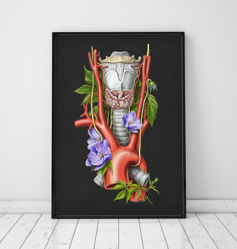 Larynx, Thyroid and Aorta anatomy art in a frame by codex anatomicus