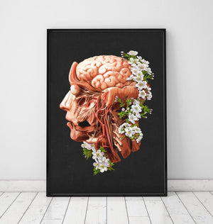 Head, Brain and Arteries anatomy art print in a frame