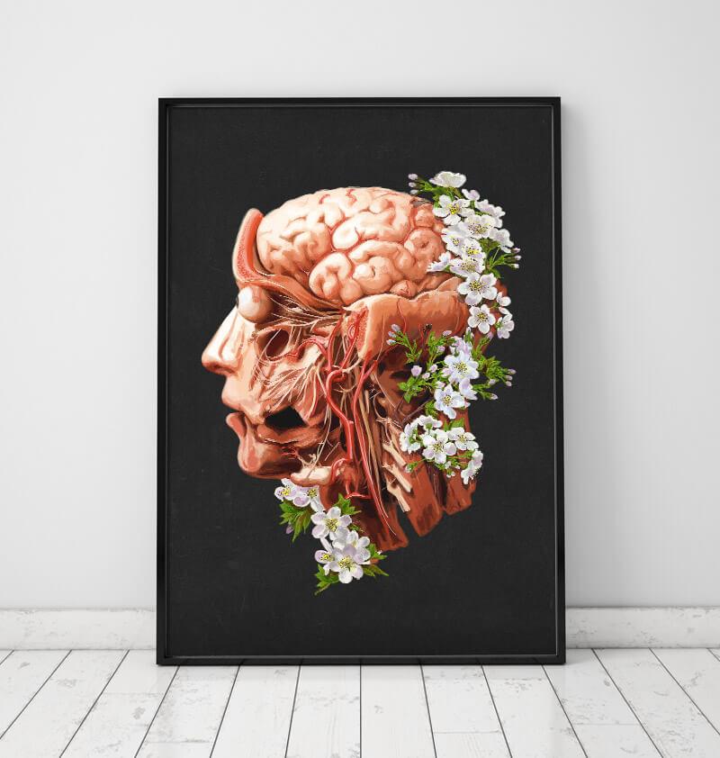 Head, Brain and Arteries anatomy art print in a frame
