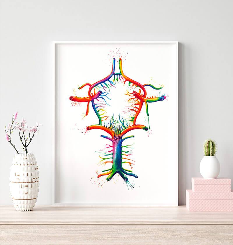 Watercolor Circle of Willis anatomy art print – Codex Anatomicus