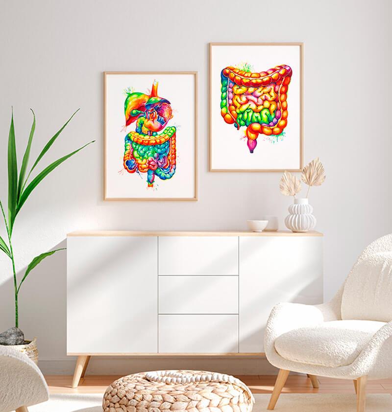 Digestive system anatomy art - Watercolor splash – Codex Anatomicus