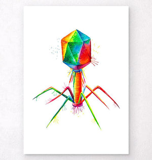 Bacteriophage poster