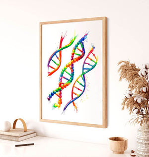 DNA structure art print - Anatomy Art - Codex Anatomicus