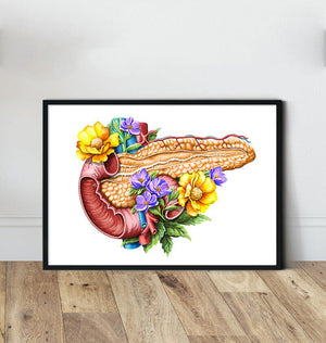 Floral pancreas anatomy art print