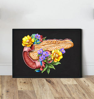 Floral pancreas anatomy poster