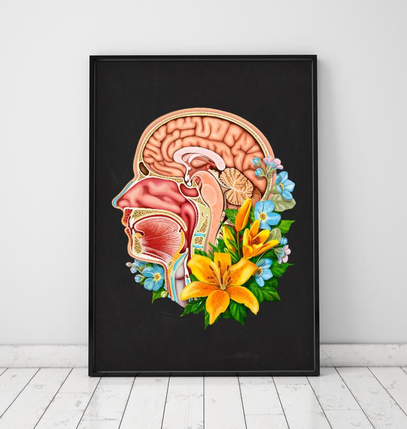 Head section anatomy poster by codex anatomicus in a frame