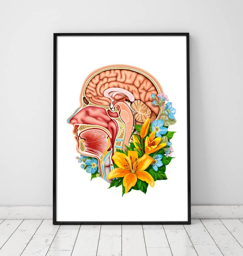 Head section anatomy art print by codex anatomicus in a black frame