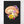 Charger l&#39;image dans la galerie, Anatomy of brain
