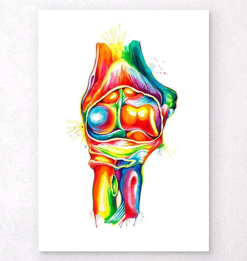 Elbow anatomy art - Watercolor - Codex Anatomicus