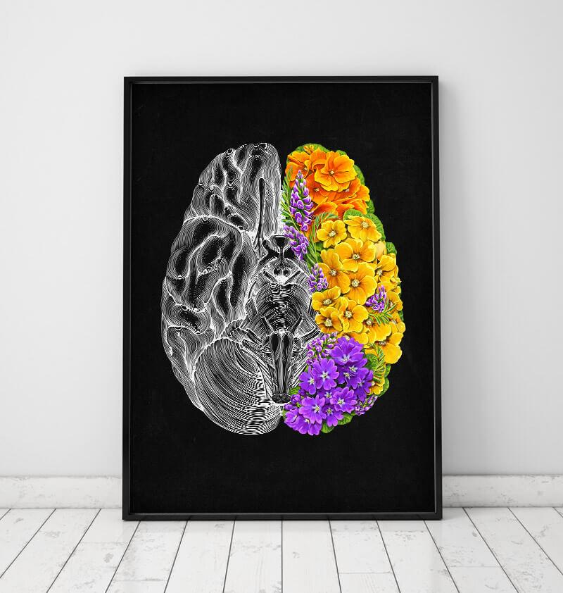 Anatomical brain poster