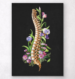 Spine anatomy with flowers