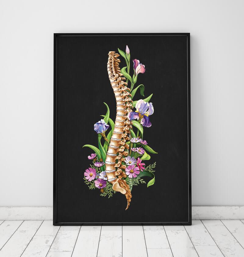 Floral spine anatomy art print in a frame by codex anatomicus