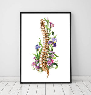 Floral spine anatomy art print - Doctors Gift - Codex Anatomicus