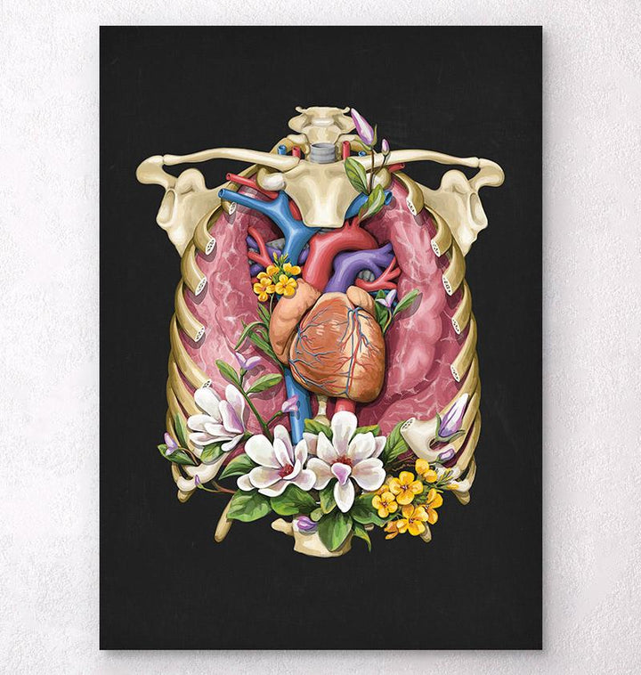 Heart anatomy art