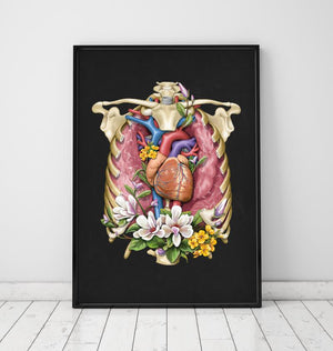 Heart, lungs and a ribcage anatomy art by Codex Anatomicus