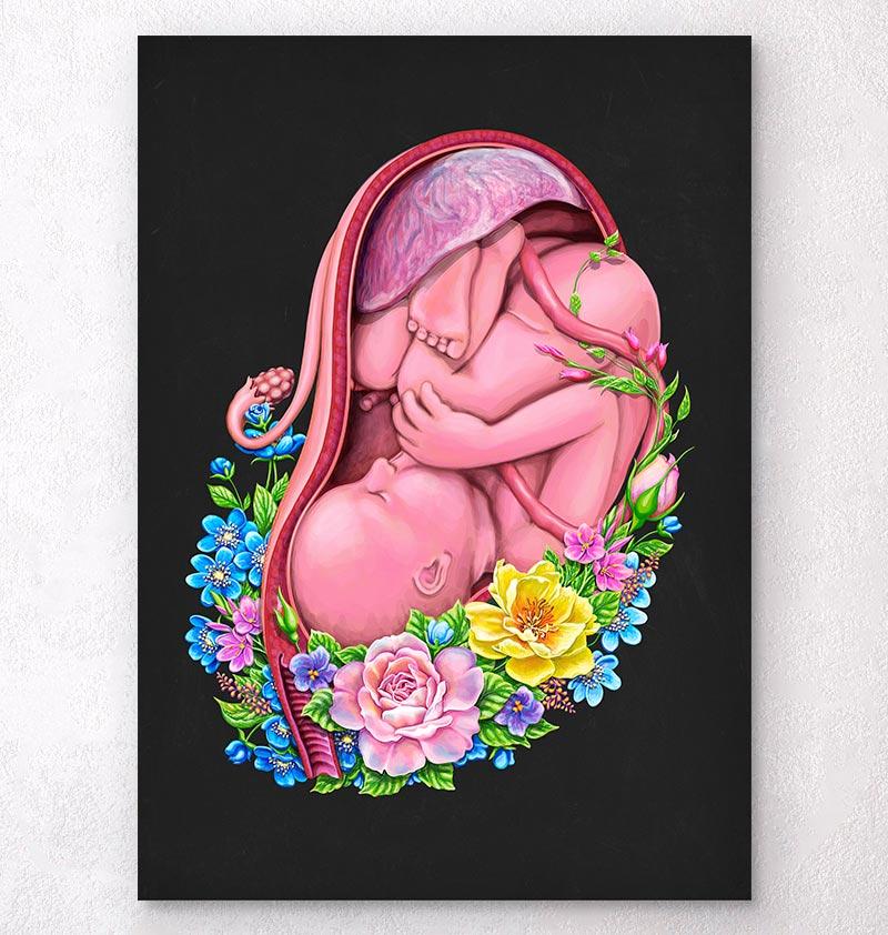Fetus in a womb anatomy