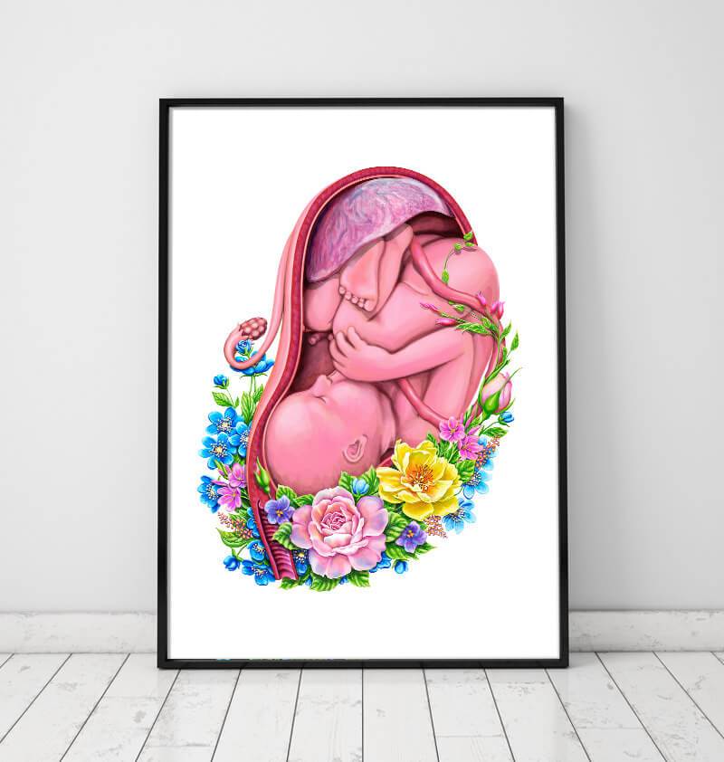 Fetus in a womb anatomy poster