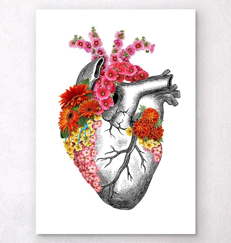 Anatomical heart with flowers II - White