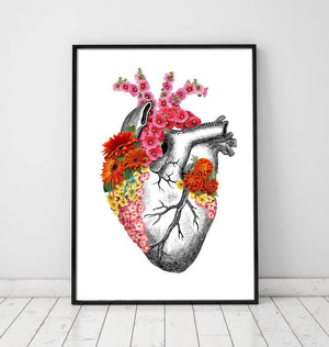 Anatomical heart poster