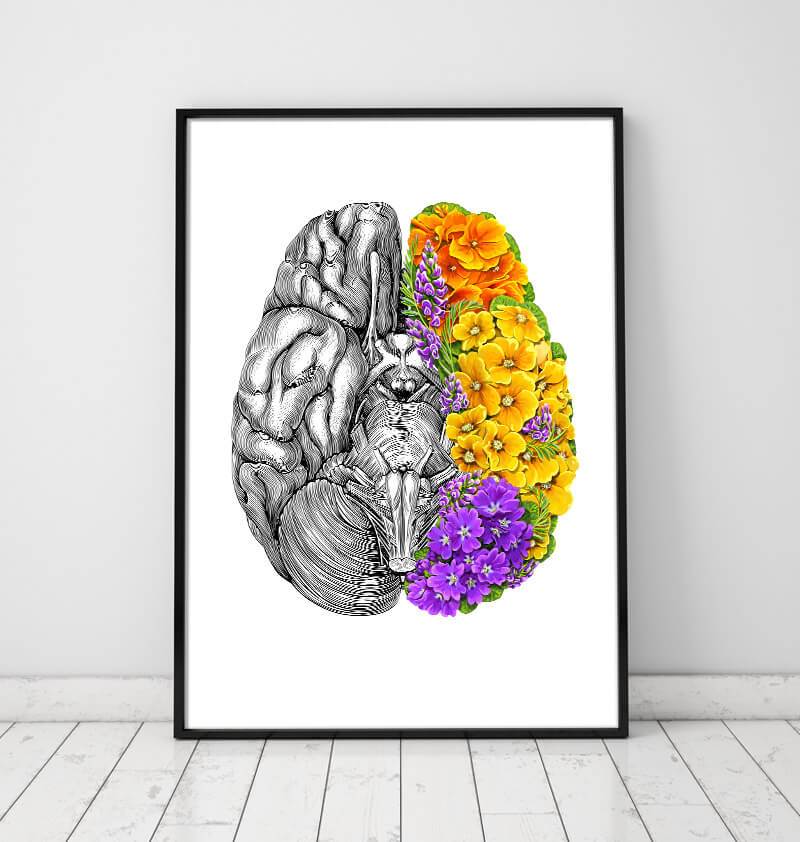 Floral brain anatomy art print - Codex Anatomicus