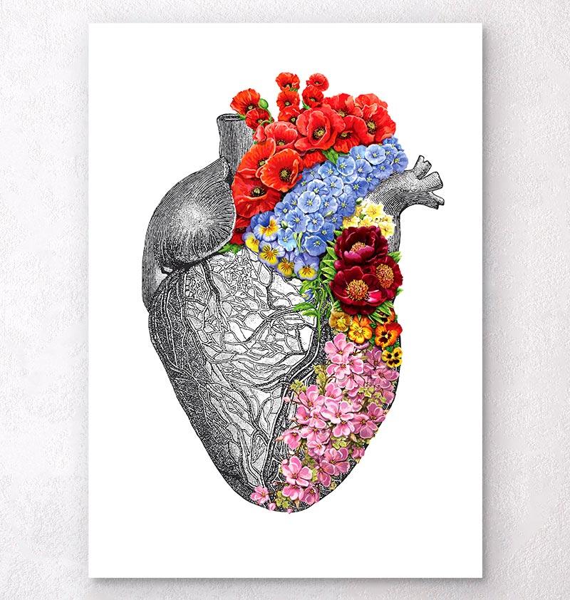Floral heart anatomy art print – Codex Anatomicus