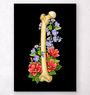 Hip bone anatomy - femur bone