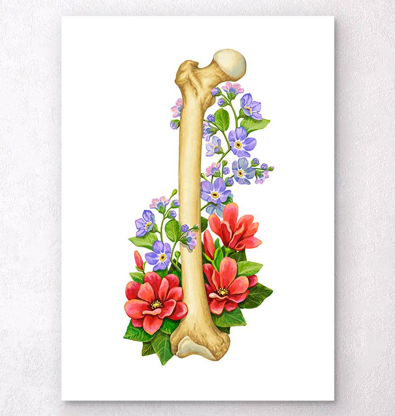 Femur bone anatomy illustration