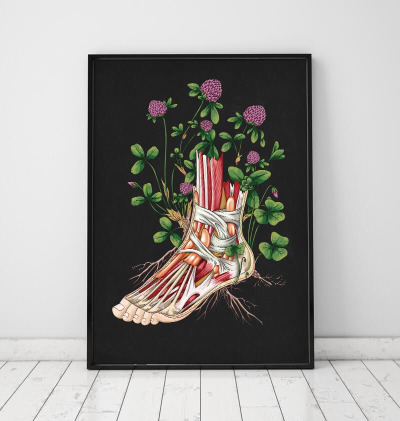 Floral foot anatomy poster
