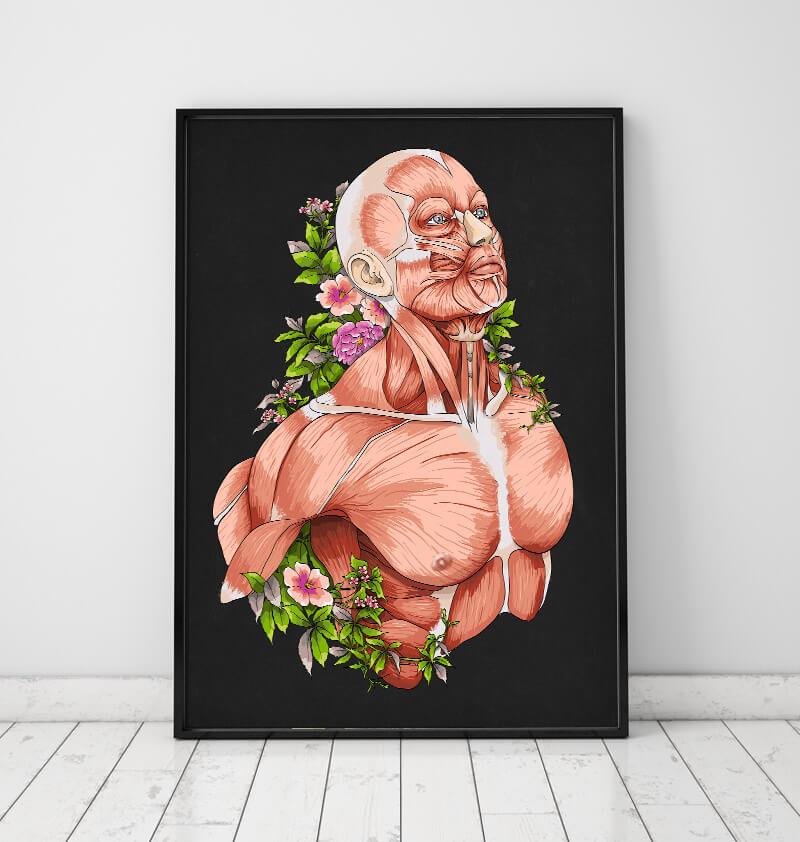 Male body anatomy art