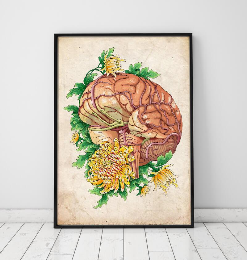 Vintage Brain anatomy poster