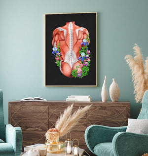 Muscles anatomy poster
