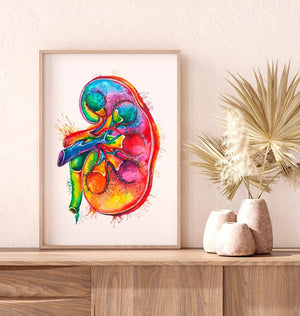 Left kidney anatomy art - Human Anatomy