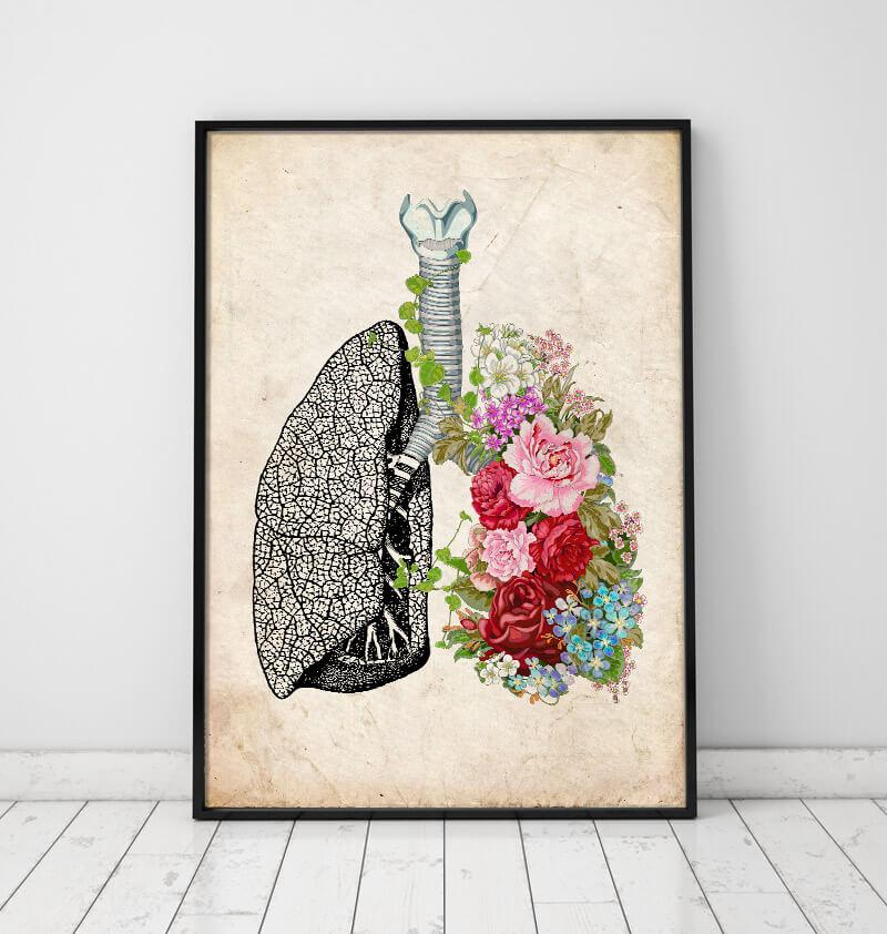 Vintage lung anatomy poster