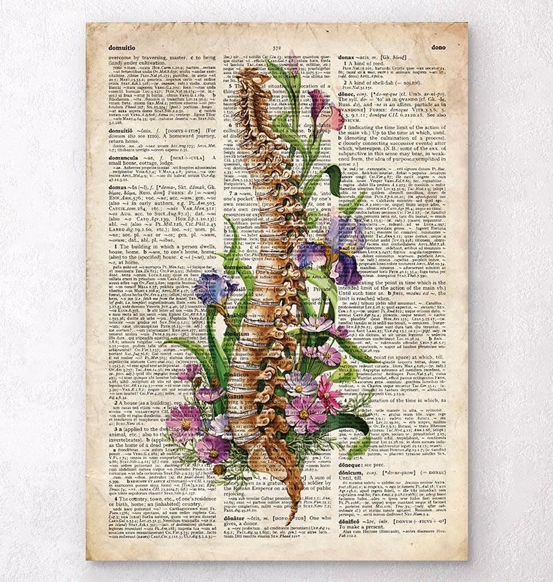 Floral spine anatomy art print on a dictionary page – Codex Anatomicus