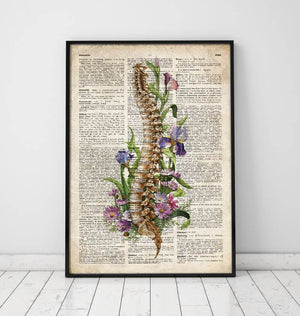 Floral spine anatomy art print on a dictionary page