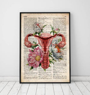 Uterus anatomy diagram art on a dictionary page