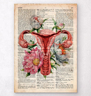 Uterus anatomy art