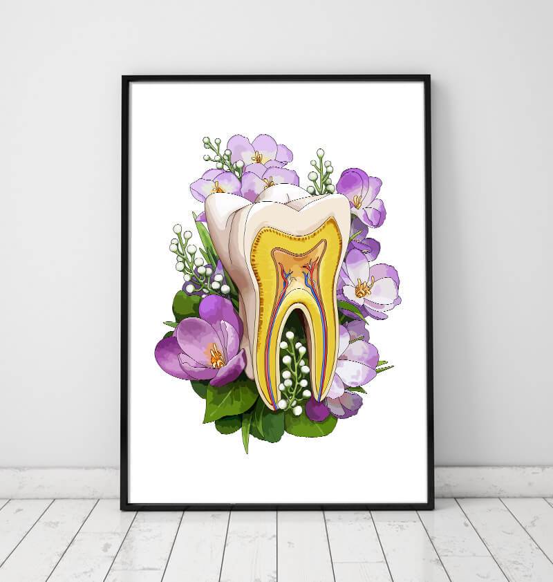 Floral dental anatomy poster by Codex Anatomicus