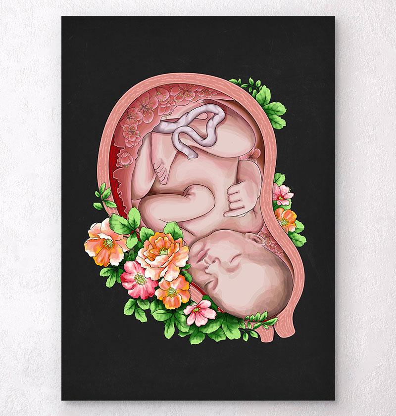 Baby in a womb