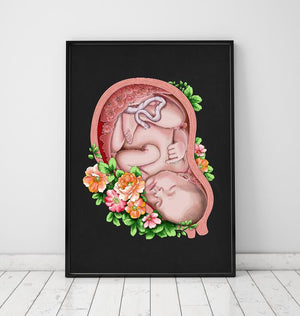 Fetus in a womb anatomy art print