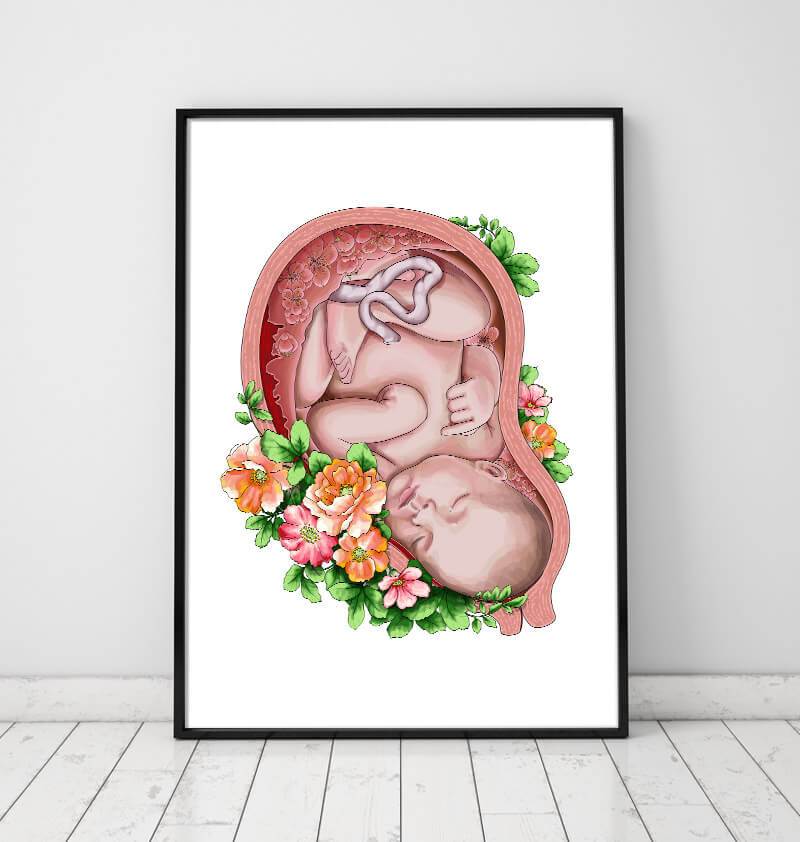 Fetus in a womb anatomy poster by Codex Anatomicus
