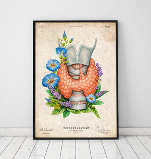 Thyroid poster by codex anatomicus