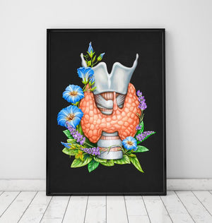 Anatomy of thyroid poster by codex anatomicus