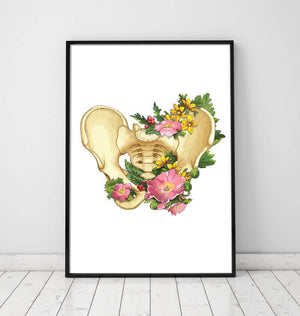 Pelvis anatomy poster in a frame by codex anatomicus