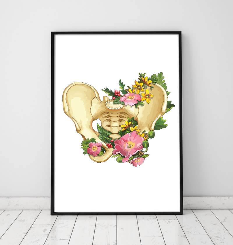 Pelvis anatomy poster in a frame by codex anatomicus
