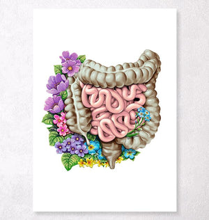 Large intestine anatomy poster
