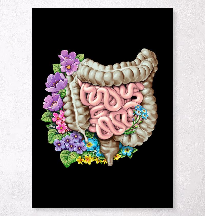Intestines anatomy poster