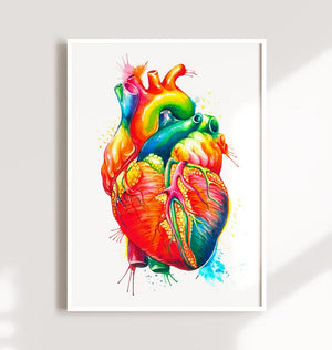 Heart anatomy poster